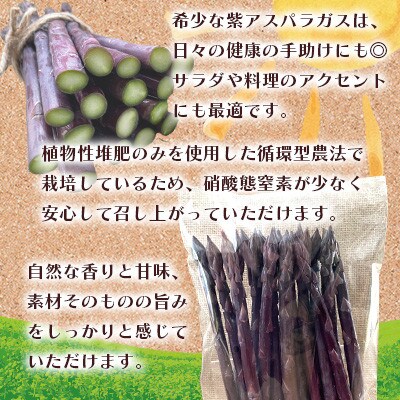 【訳あり】オーガニック パープルアスパラガス M～L 500g