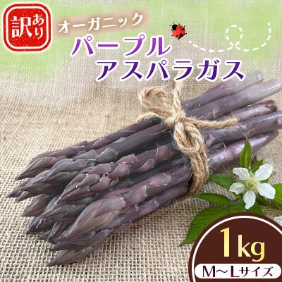 【訳あり】オーガニック パープルアスパラガス  M～L 1kg