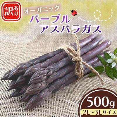【訳あり】オーガニック パープルアスパラガス 2L～3L 500g