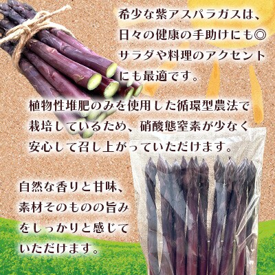【訳あり】オーガニック パープルアスパラガス 2L～3L 500g