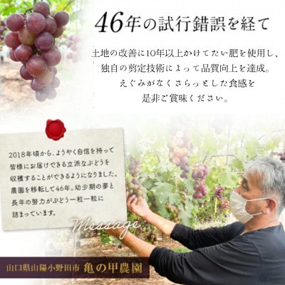 【有機農産物】ぶどうの粒ピオーネ 無選別 200g(宇部市)