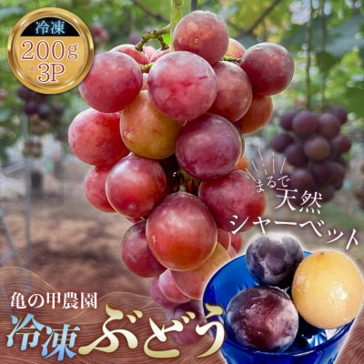 「冷凍ぶどう」200g×3パック(600g)(宇部市)