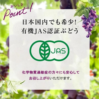 「冷凍ぶどう」200g×3パック(600g)(宇部市)