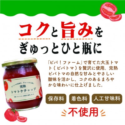 【宇部の実セット】 トマトケチャップ250g×6個セット