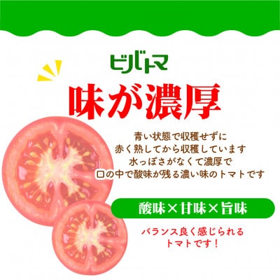 【宇部の実セット】 トマトケチャップ250g×6個セット