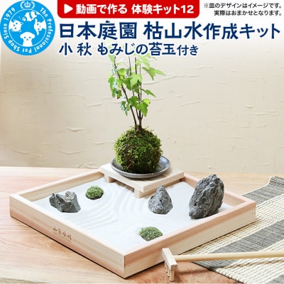 動画で作る 体験キット12 日本庭園 枯山水キット 小 秋 もみじの苔玉|09_chm-b90101