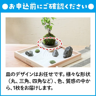 動画で作る 体験キット12 日本庭園 枯山水キット 小 秋 もみじの苔玉|09_chm-b90101