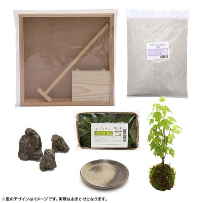 動画で作る 体験キット12 日本庭園 枯山水キット 小 秋 もみじの苔玉|09_chm-b90101