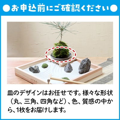動画で作る 体験キット13 日本庭園 枯山水キット 小 冬 松の苔玉付き|09_chm-ba0101