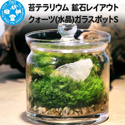苔テラリウム 鉱石 クォーツ(水晶)ガラスポットS 説明書付|09_chm-bm0101