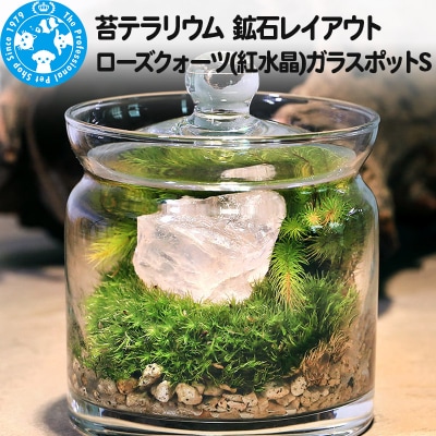 苔テラリウム 鉱石 ローズクォーツ(紅水晶)ガラスポットS 説明書付|09_chm-bp0101