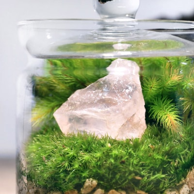 苔テラリウム 鉱石 ローズクォーツ(紅水晶)ガラスポットS 説明書付|09_chm-bp0101