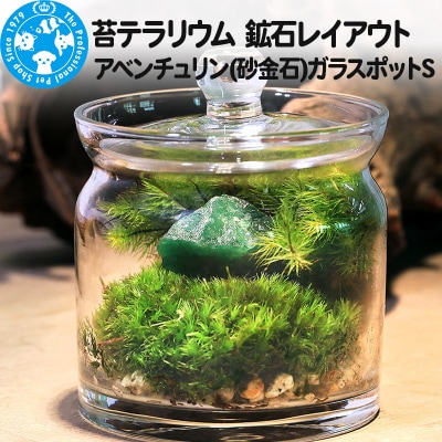 苔テラリウム 鉱石 アベンチュリン(砂金石)ガラスポットS 説明書付|09_chm-bo0101