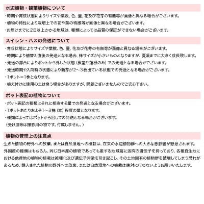 水辺植物 ビオトープレイアウトセット(アサザ+水辺植物3種 あぜなみ付)|09_chm-a80101
