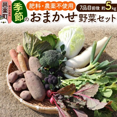 自然栽培 秋冬 季節のお任せ野菜セット Lサイズ|09_tyf-040101