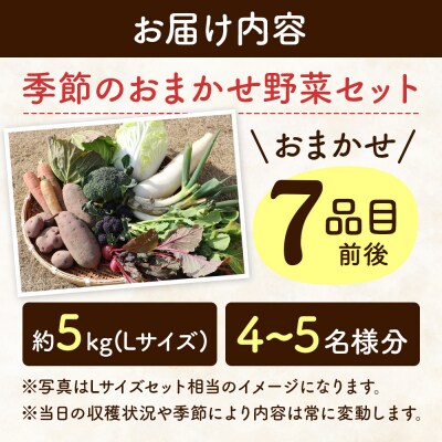 自然栽培 秋冬 季節のお任せ野菜セット Lサイズ|09_tyf-040101