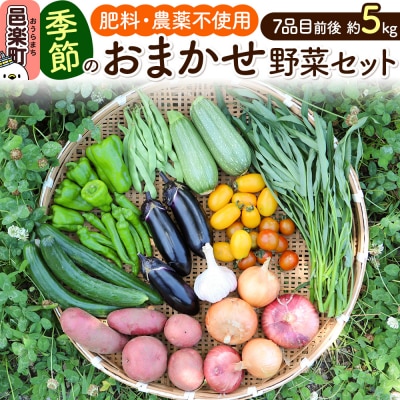 自然栽培 春夏 季節のお任せ野菜セット Lサイズ|09_tyf-020101