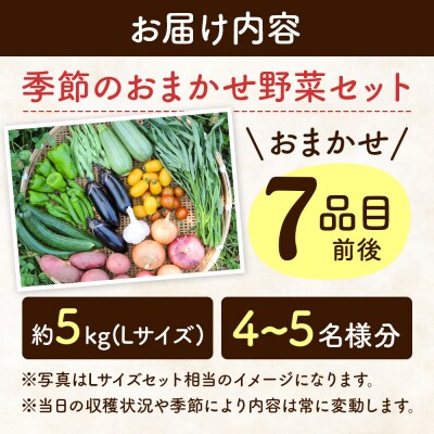 自然栽培 春夏 季節のお任せ野菜セット Lサイズ|09_tyf-020101