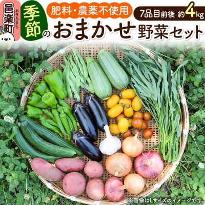 自然栽培 春夏 季節のお任せ野菜セット Mサイズ|09_tyf-010101