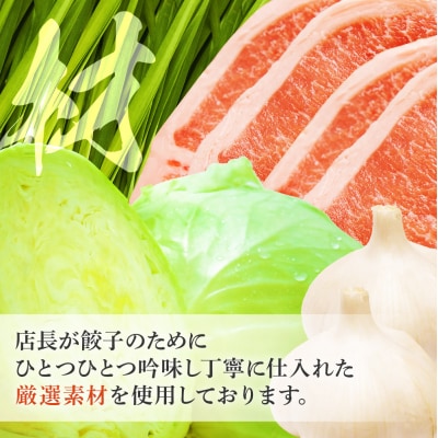 冷凍餃子4人前(計約860g)|09_mnr-010401