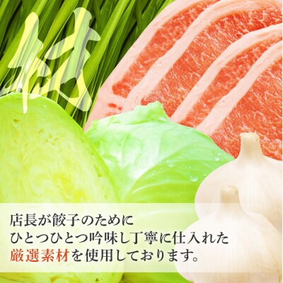 冷凍餃子4人前(計約860g)|09_mnr-010401