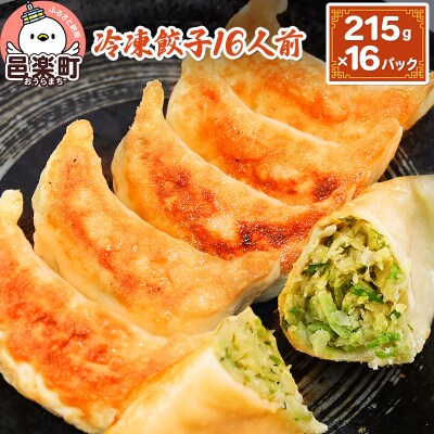 冷凍餃子16人前(計約3440g)|09_mnr-011601
