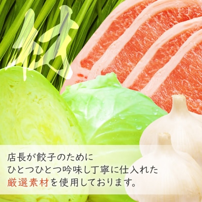 冷凍餃子16人前(計約3440g)|09_mnr-011601