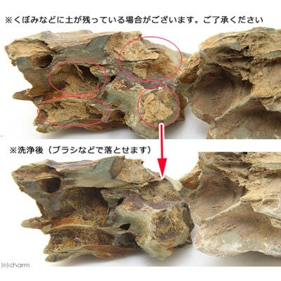陽火石 サイズミックス(約5～30cm)10kg|09_chm-220101