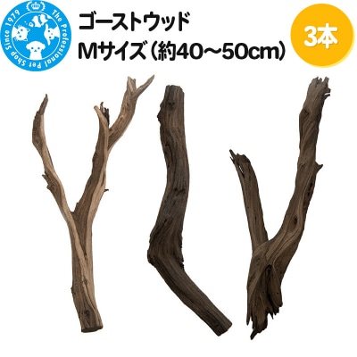 ゴーストウッド Mサイズ(約40～50cm)3本|09_chm-240301