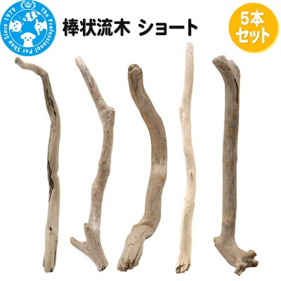 棒状流木 ショート 5本セット|09_chm-290501