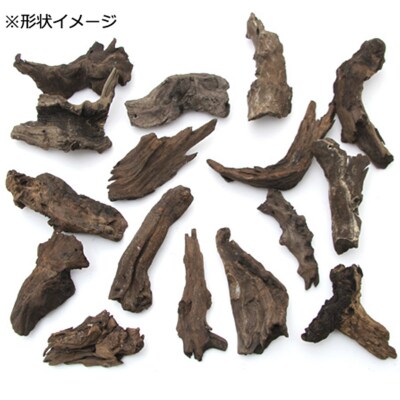 塊状流木 Sサイズ(約15cm～20cm)3個|09_chm-200301