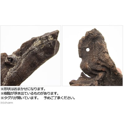 塊状流木 Sサイズ(約15cm～20cm)3個|09_chm-200301