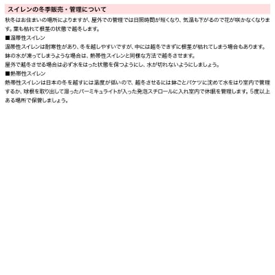 睡蓮栽培セット(オーガストコーチ(青)1株、水辺植物3種、あぜなみ等)|09_chm-af0101