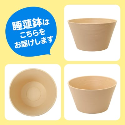 姫睡蓮 赤 1株+睡蓮鉢ベージュ+ビオの土 3L+固形栄養素|09_chm-ao0101