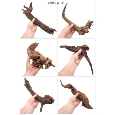 上質流木 雅～みやび～ サイズミックス(約25～40cm)5本|09_chm-190501