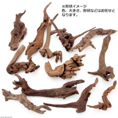 上質流木 雅～みやび～ サイズミックス(約25～40cm)5本|09_chm-190501