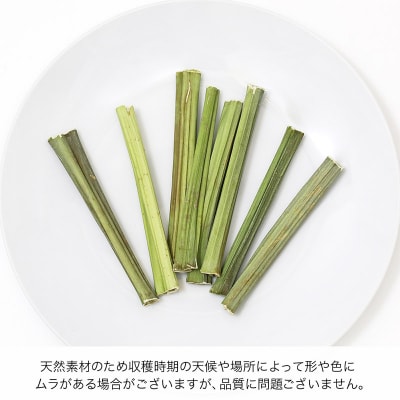 国産 パパイヤの葉の茎 50本入|09_chm-170101