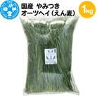 国産 やみつきオーツヘイ(えん麦)1kg|09_chm-180101
