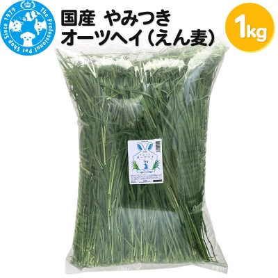 国産 やみつきオーツヘイ(えん麦)1kg|09_chm-180101