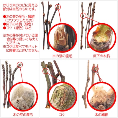 国産 りんごの木 中枝 500g|09_chm-160101