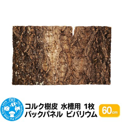 コルク樹皮 60cm 1枚 水槽用 バックパネル ビバリウム|09_chm-ck0101b