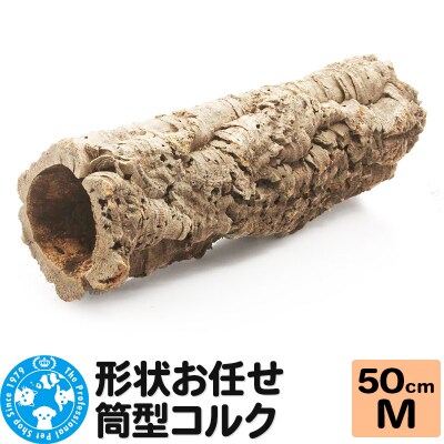 形状お任せ 筒型コルク Mサイズ 長さ50cm エアプランツ|09_chm-cl0101cc