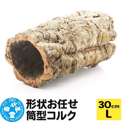形状お任せ 筒型コルク Lサイズ 長さ30cm エアプランツ|09_chm-cl0101db