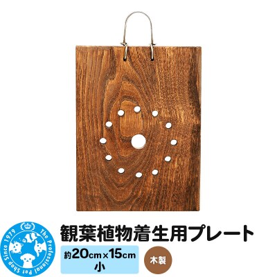 観葉植物着生用プレート 木製 小(約20×15cm) 1枚|09_chm-cm0101aa