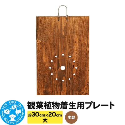 観葉植物着生用プレート 木製 大(約30×20cm) 1枚|09_chm-cm0101ab