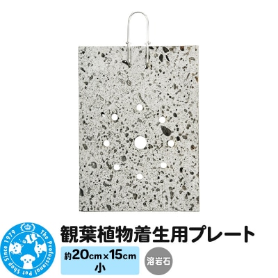 観葉植物着生用プレート 溶岩石 小(約20×15cm) 1枚|09_chm-cm0101ba