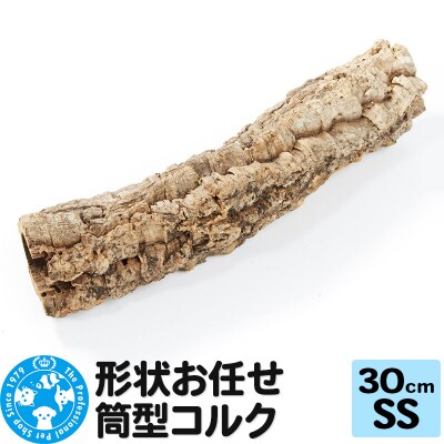形状お任せ 筒型コルク SSサイズ 長さ30cm エアプランツ|09_chm-cl0101ab