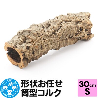 形状お任せ 筒型コルク Sサイズ 長さ30cm エアプランツ|09_chm-cl0101bb