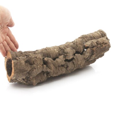 形状お任せ 筒型コルク Sサイズ 長さ30cm エアプランツ|09_chm-cl0101bb