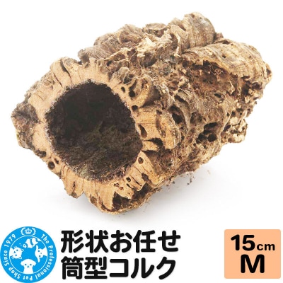形状お任せ 筒型コルク Mサイズ 長さ15cm エアプランツ|09_chm-cl0101ca